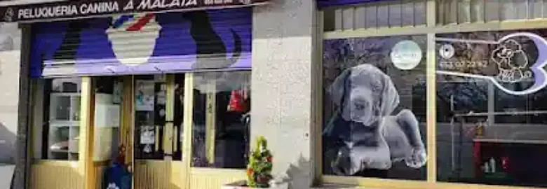 peluqueria canina a malata