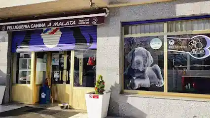 peluqueria canina a malata