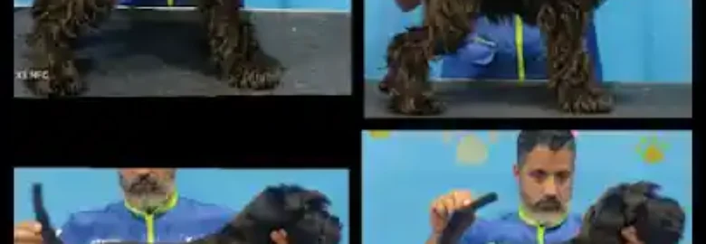 peluqueria canina y consulta veterinaria Pelos